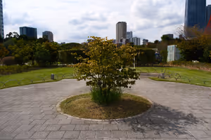 [Undefined encoding]