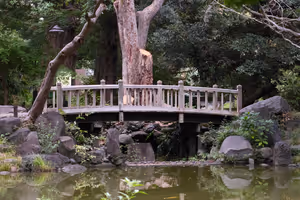 [Undefined encoding]