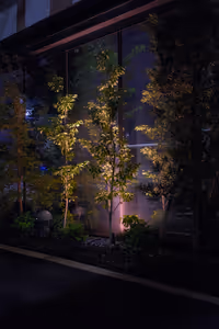 [Undefined encoding]