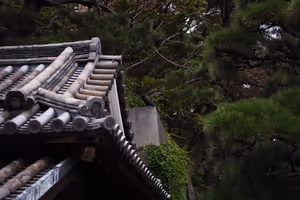 [Undefined encoding]