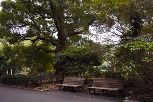 [Undefined encoding]