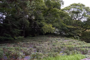 [Undefined encoding]