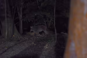 [Undefined encoding]