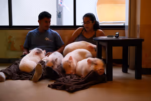 [Undefined encoding]