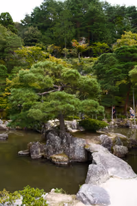 [Undefined encoding]