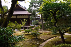 [Undefined encoding]