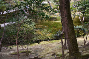 [Undefined encoding]