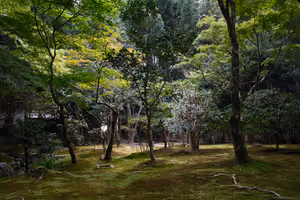 [Undefined encoding]