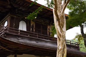 [Undefined encoding]