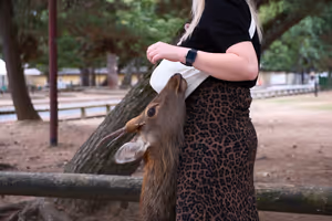 [Undefined encoding]