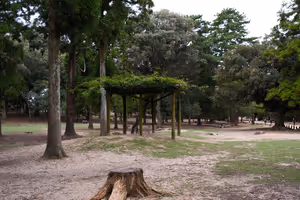 [Undefined encoding]