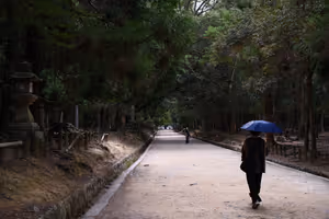 [Undefined encoding]