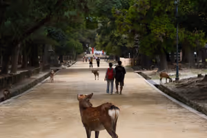 [Undefined encoding]