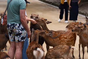 [Undefined encoding]