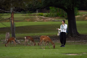 [Undefined encoding]