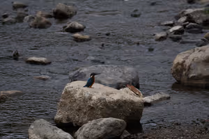 [Undefined encoding]