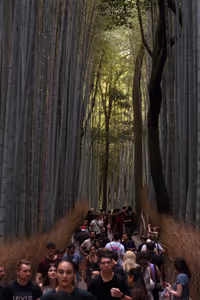 [Undefined encoding]