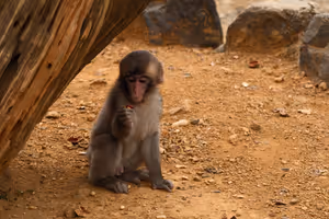 [Undefined encoding]