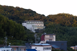 [Undefined encoding]